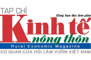 nước mắm mười quý