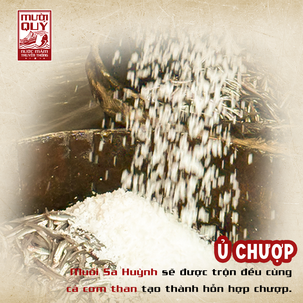 ủ chượp nước mắm Ủ chượp nước mắm là gì