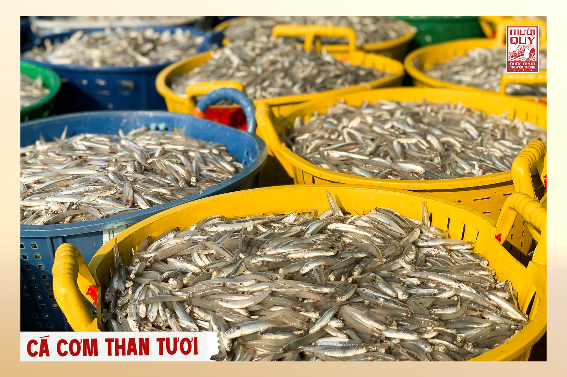 Cá làm nước mắm truyền thống