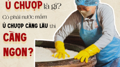 Ủ chượp nước mắm là gì