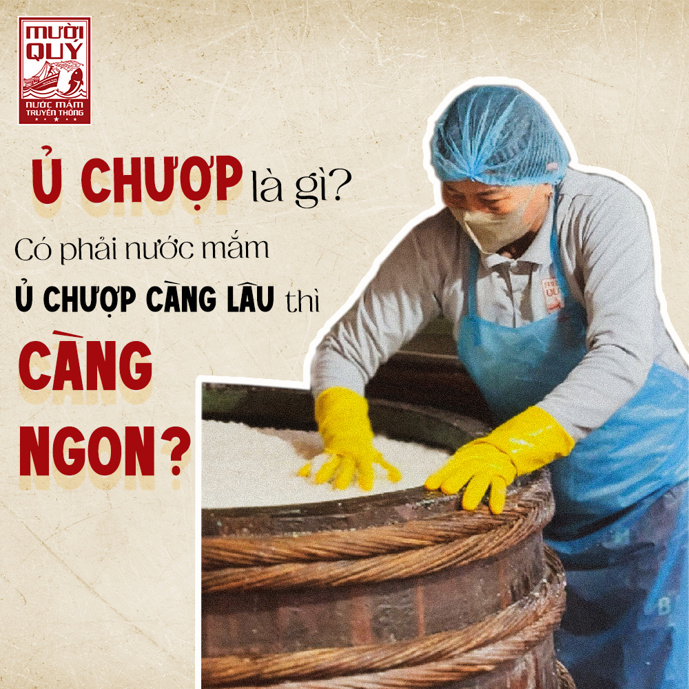 Ủ chượp nước mắm là gì